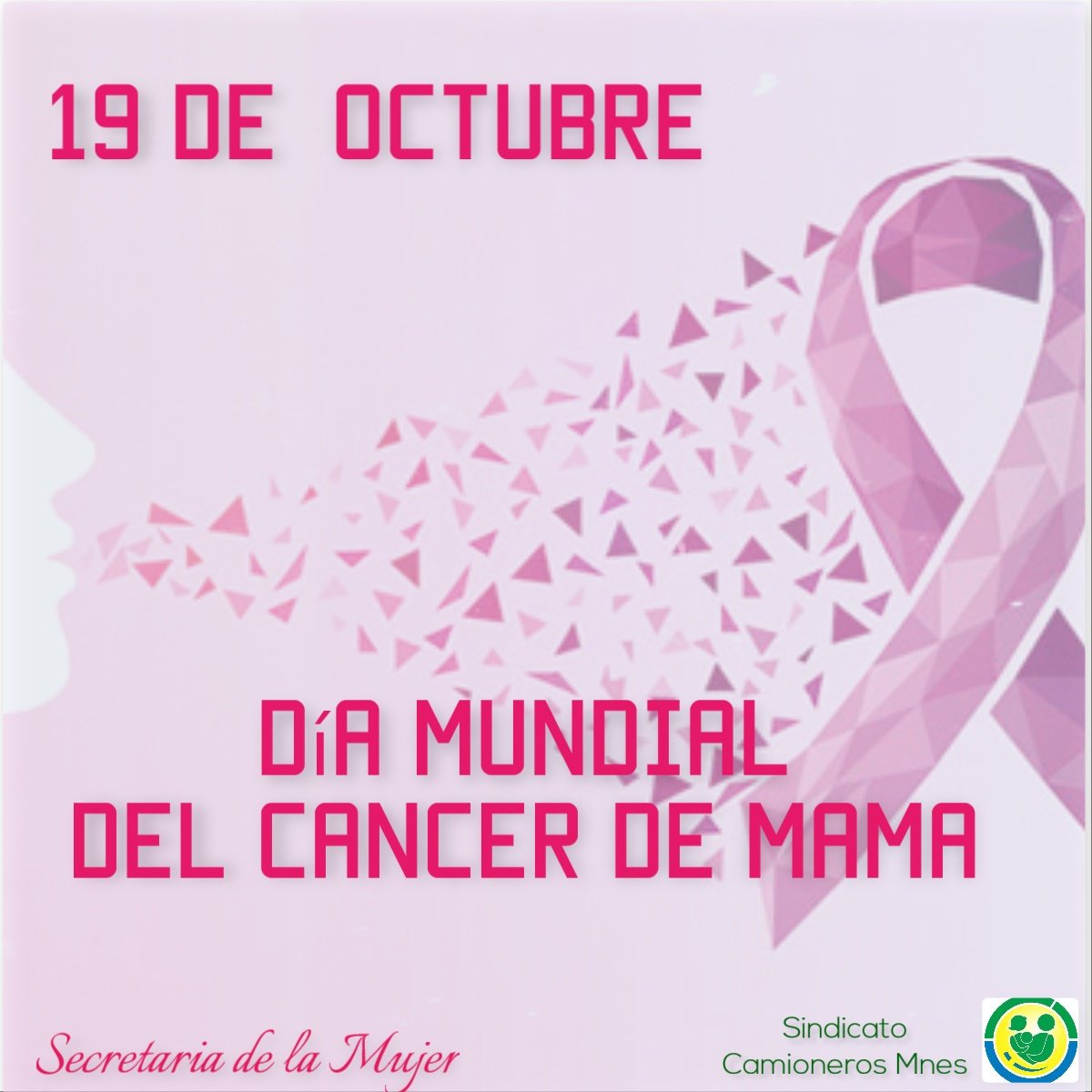 flaca_1985's tweet photo. #DiaMundialdelCáncerdeMama https://t.co/z0rqRsr7DU