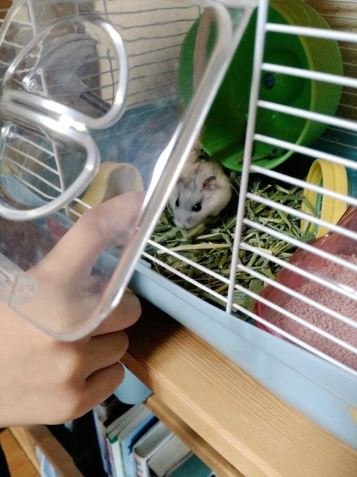 Twitterのコスプレ画像21