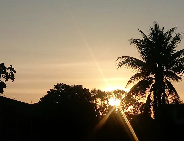 Mylenasantoos7's tweet photo. Natureza 🌳☀ https://t.co/vk6QLQhO8j