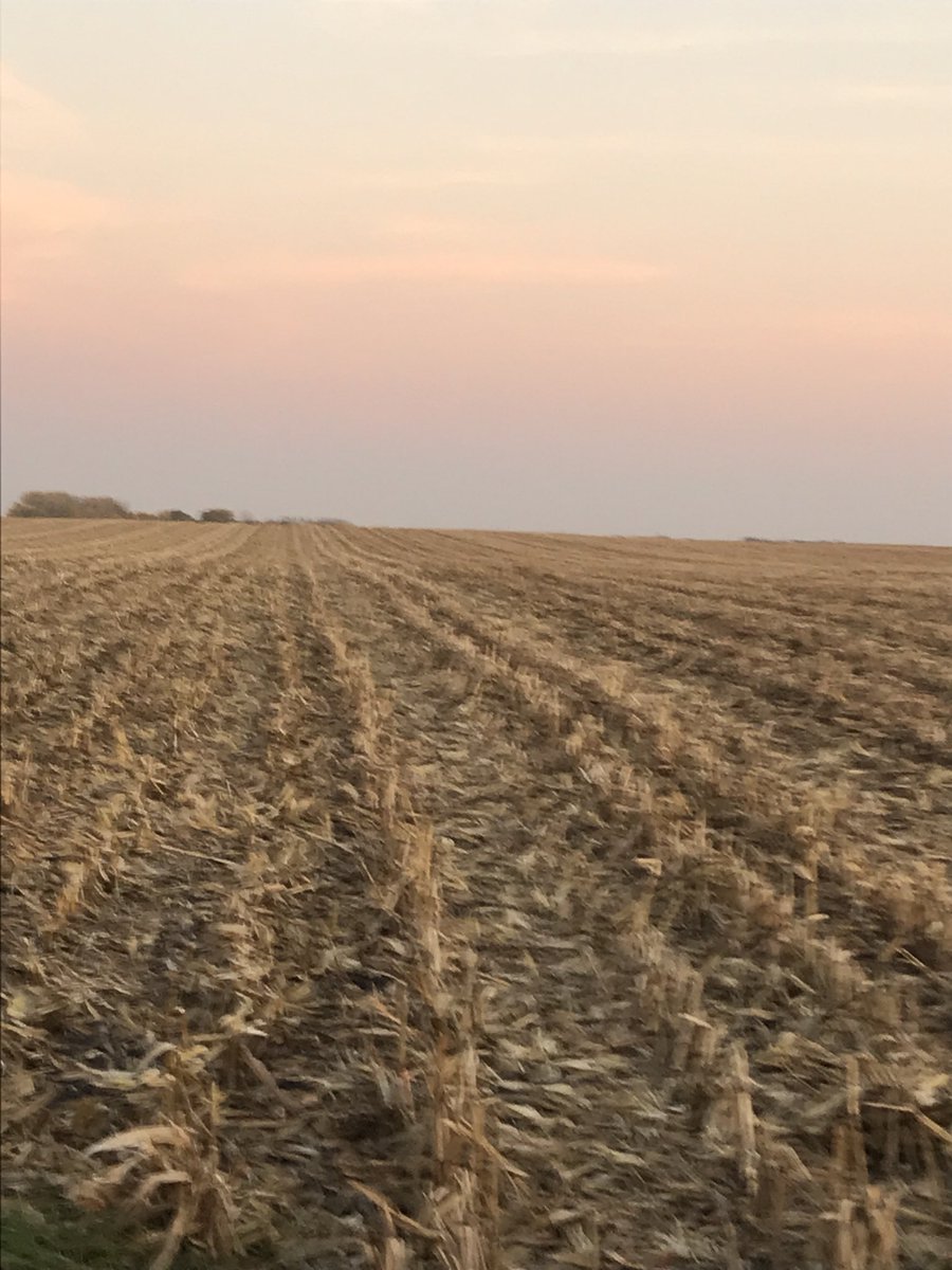 seedzeke's tweet photo. Pioneer Product Knowledge Plot near Nicollet, MN - P0157AMXT, P0589AMXT &amp; P0574AMXT Rocking BIG YIELDS &amp; DRY! P0157 21.1%, c/c planted 5/11 https://t.co/5dJ1XvoOnp