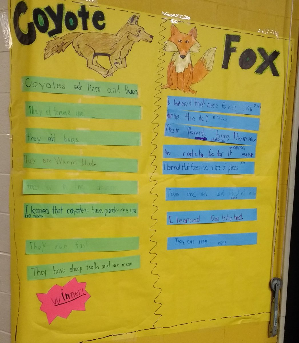 GES_Fegley1st's tweet photo. Who Would Win?! First Grade was inspired by @jerrypallotta to do research of our own! Psyched to meet him tomorrow! #gwdes https://t.co/EHQCs9pvHY