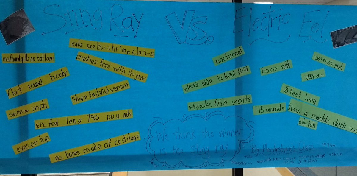 GES_Fegley1st's tweet photo. Who Would Win?! First Grade was inspired by @jerrypallotta to do research of our own! Psyched to meet him tomorrow! #gwdes https://t.co/EHQCs9pvHY