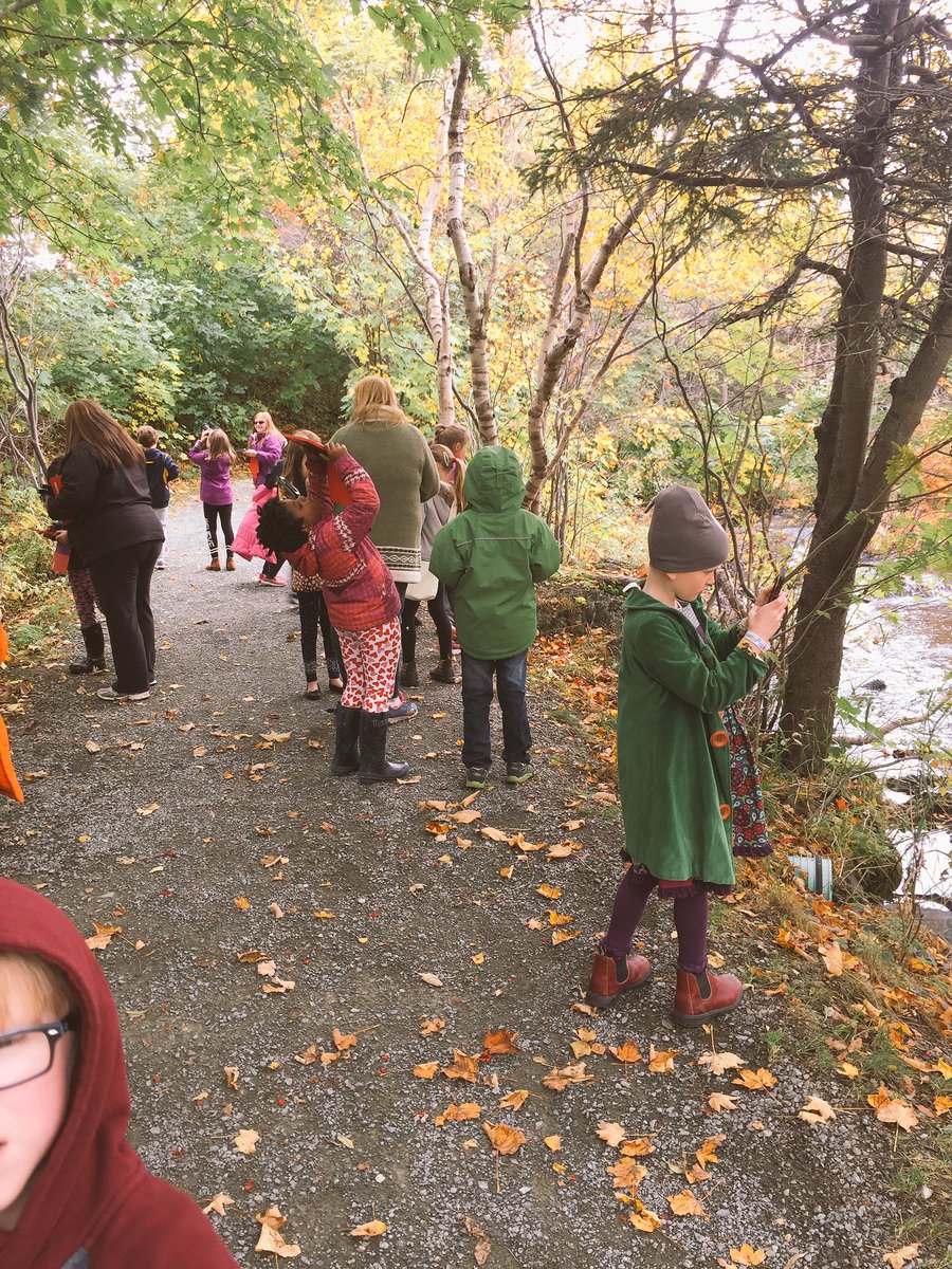 pcurranguidance's tweet photo. Beautiful way to spend a morning ...taking in all angles of Rennies River trail. #artsmarts #photographersinthemaking @RenniesRiver https://t.co/kUtLyaEWnF