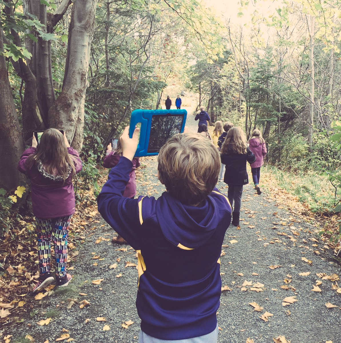 pcurranguidance's tweet photo. Beautiful way to spend a morning ...taking in all angles of Rennies River trail. #artsmarts #photographersinthemaking @RenniesRiver https://t.co/kUtLyaEWnF