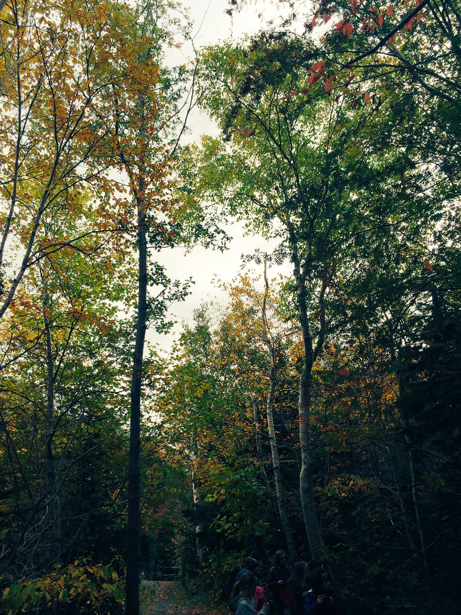 pcurranguidance's tweet photo. Beautiful way to spend a morning ...taking in all angles of Rennies River trail. #artsmarts #photographersinthemaking @RenniesRiver https://t.co/kUtLyaEWnF