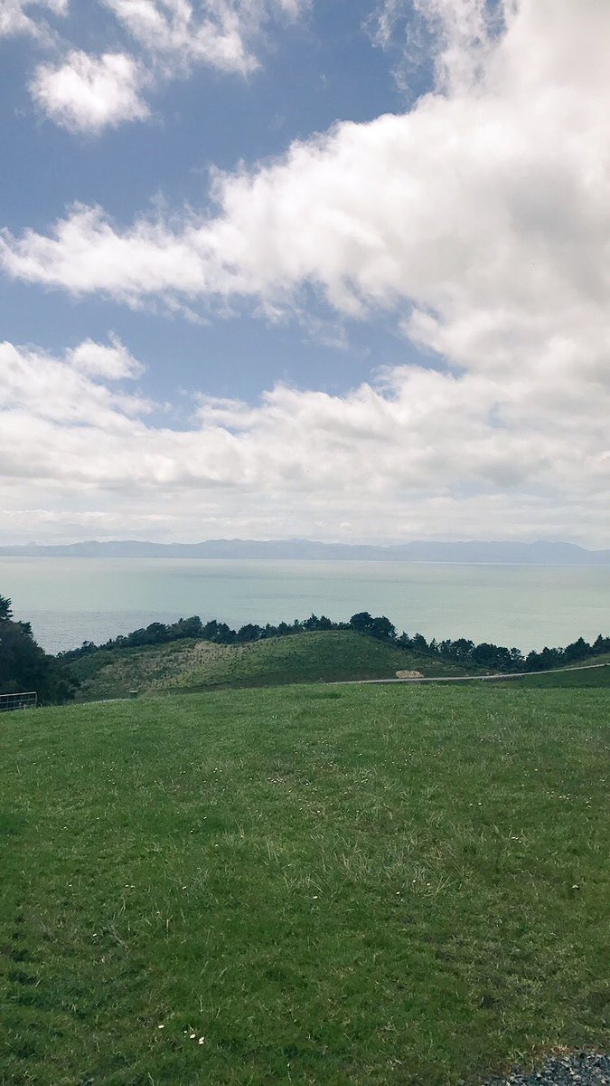 laurajeankeenan's tweet photo. Checking new grass doesn't really get much better than this. #one50 @Agricom_NZ https://t.co/4vr4dqbKhj