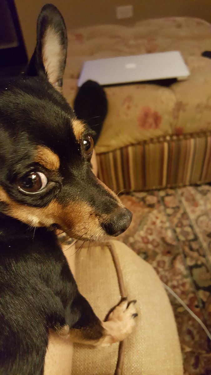 My brown-eyed girl! #CocoBubbles