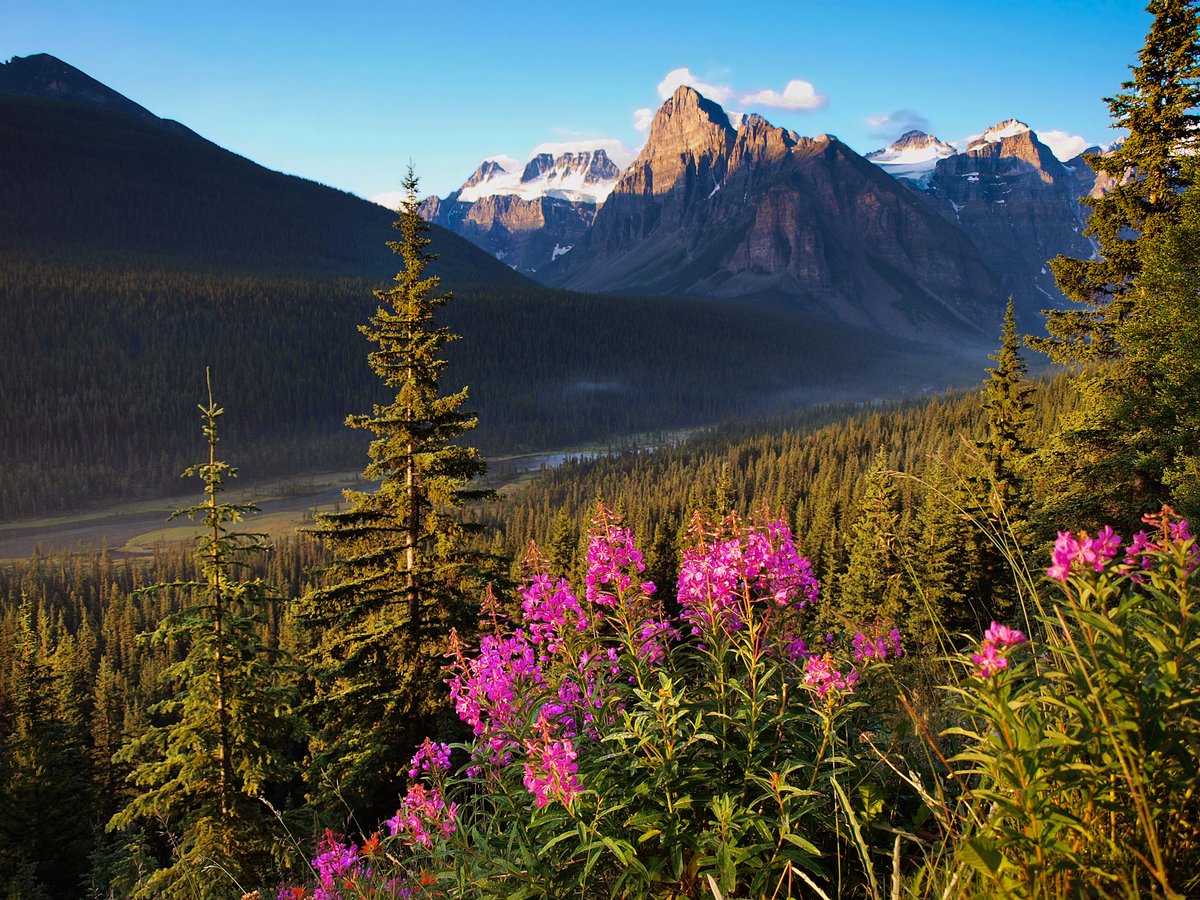 aniagl's tweet photo. Been to #Canada Mark it on your own #travel #map Download for Free on #ios https://t.co/awrxpZBFJW or #android https://t.co/EidcF085Th https://t.co/fE2IcbTlpt
