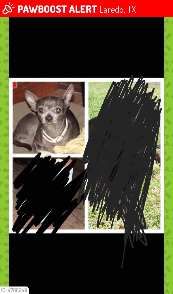 Please RT! Have you seen Gracie? #missing #lost #pet in #Laredo #TX 78046 pawboost.com/p/4786349
