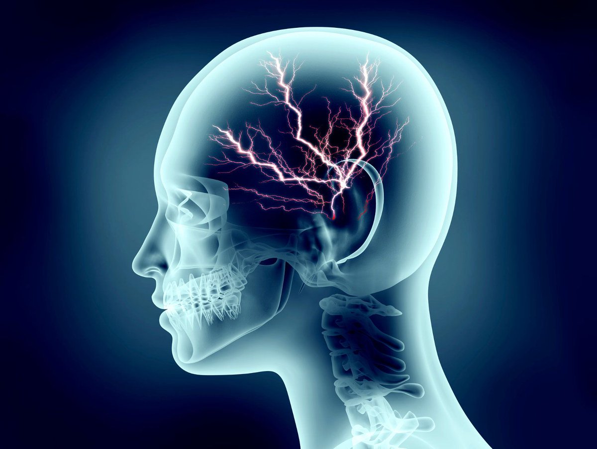 HTSA_'s tweet photo. Living in a Smart House: Is it Good for Your Brain? https://t.co/BYqiseYCIP via @electronichouse https://t.co/XxgECrokCm