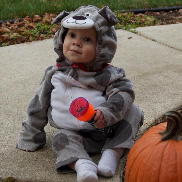 gavinthomas's tweet photo. #tbt to Gavin’s puppy Halloween costume! 🐶 https://t.co/OELrqnT0lF