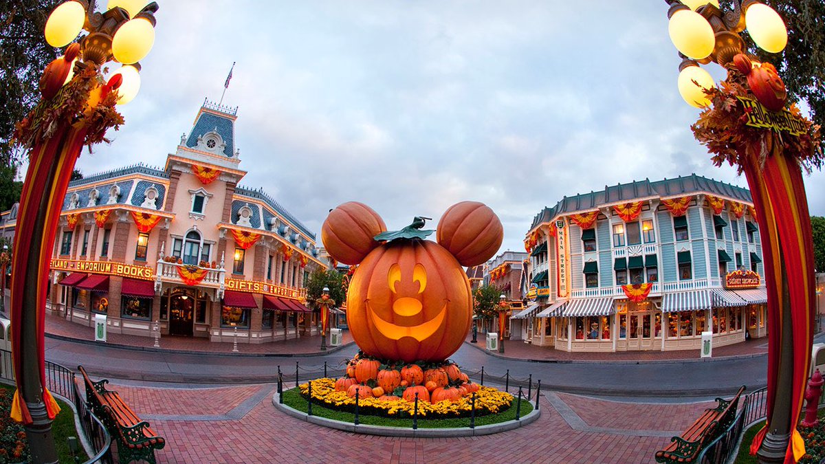 larachakrian's tweet photo. I really want to be at Disneyland right now... 🎃💛 https://t.co/f4ShskCAC5