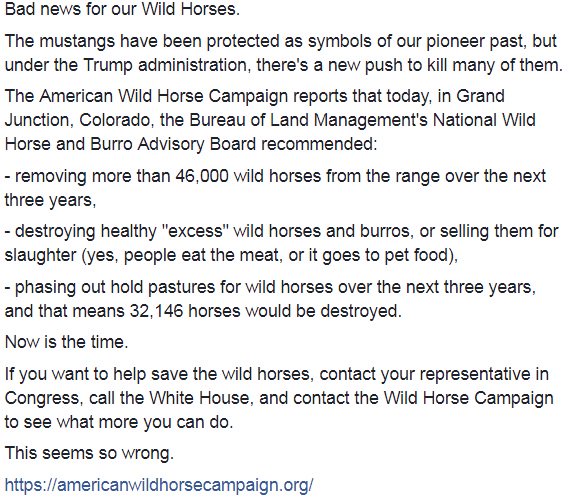 dannoyes's tweet photo. Trump Administration moving to kill Wild Horses, protected as symbols of our pioneer spirit. Time to take action if you care. #ABC7now https://t.co/L19wxO4AsD