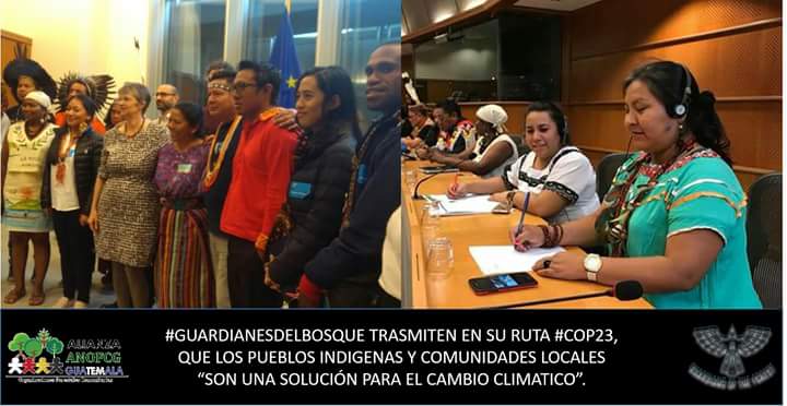 alianzaofc's tweet photo. #COP23 #guardianesdelbosque https://t.co/zzDeoLGTet
