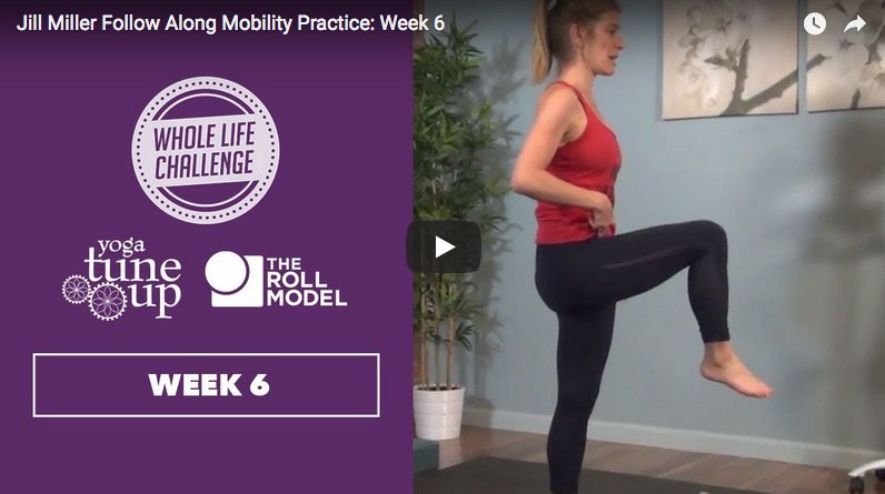 tuneupfitness's tweet photo. Help your hips this week with me on @wholelife. Increasing mobility in our hips can bring better mvmt to the body. https://t.co/5zgmjhEGsl https://t.co/eZhyK9E8gO