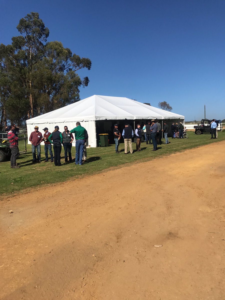 WA Lot Feeders Assoc (@walotfeeders) on Twitter photo All set for Irongate WALFA field day <a href="/CupSailor/">Peter Gilmour</a> @ButterfieldBeef <a href="/meatlivestock/">Meat & Livestock Australia</a> All set for Irongate WALFA field day <a href="/CupSailor/">Peter Gilmour</a> @ButterfieldBeef <a href="/meatlivestock/">Meat & Livestock Australia</a>