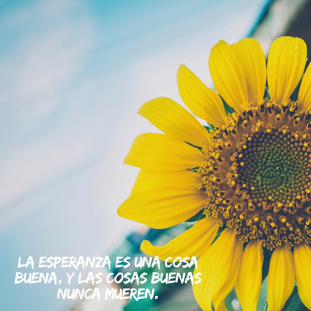 BrodsBeachWear's tweet photo. La esperanza se fundamenta en la confianza y espera por ver logrados nuestro sueños 💛💙❤️ https://t.co/9qYPBdK3ce