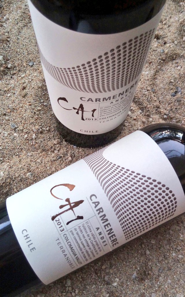 reinaldolivares's tweet photo. 🍷🍇@TerraNobleWines #Vinocratas CA1#Carmenere '13 #Colchagua @barlavinocracia Cc. @cgonzalezrojas @marcelogarciade @WinesofChile @IscoMatte https://t.co/oD73EJtoNw