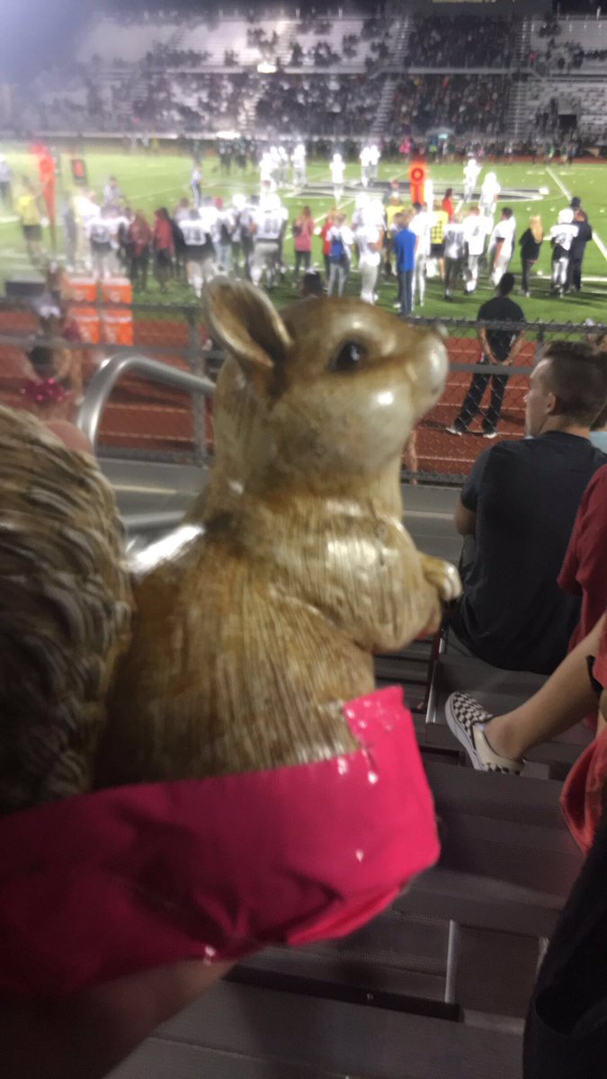 ShmurdaSquirrel's tweet photo. Against all odds, we made it #RubTheTail https://t.co/9wmD8mwRpy