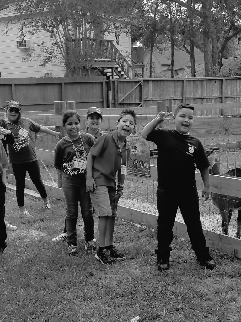 Field trip fun!