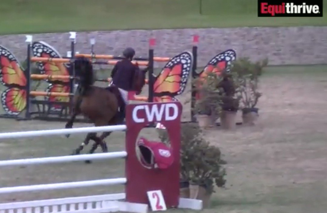 HorseNetwrk's tweet photo. Frisky, frisky! Toulago bucks his way into third place. One to go! #FEIWorldCup #DelMar https://t.co/EyhuwP9fqj