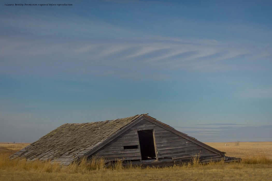 #abandonedalberta homestead earlier this week.1st brick structure from the past I've come across on AB prairies.