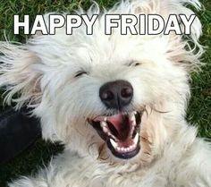 CartersCollecta's tweet photo. Morning
Dark and windy outside (very stormy night)
#MishMashDay
#GasService
Possible #auctionviewing (depends on gas man)
#HappyFriday https://t.co/z3Gl7v5xee