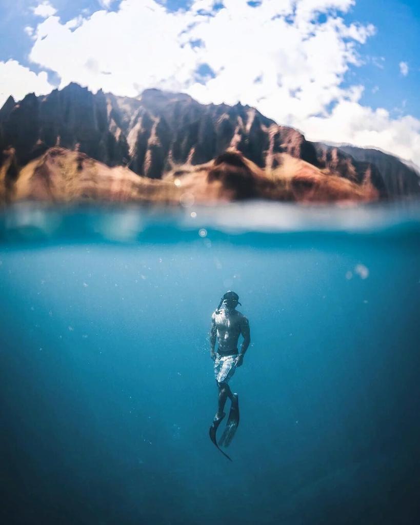 ImKunal95's tweet photo. RT ItsTravelVibes: Let's swim with the dolphins 😍 https://t.co/Ahd8gDPPJj