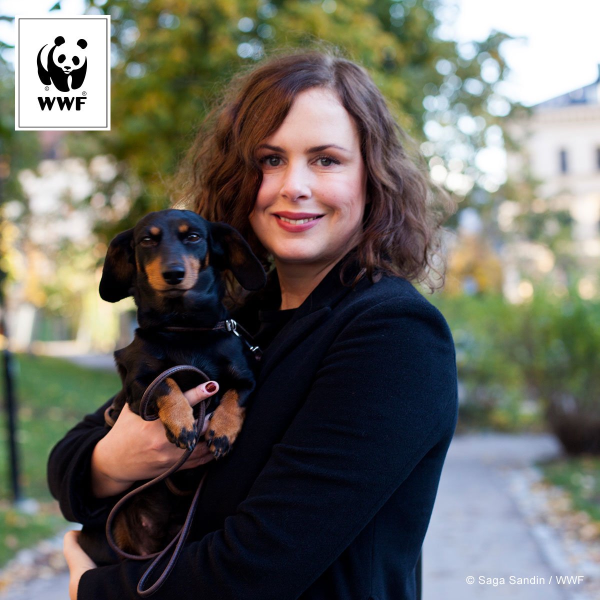 VärldsnaturfondenWWF (@wwfsverige) on Twitter photo Djuriskt kul! Missa inte nya WWF-podden om djuren i havet. Första avsnittet har temat: sex & samlevnad <a href="/hhellquist/">Hanna Hellquist</a> wwf.se/press/pressrum… Djuriskt kul! Missa inte nya WWF-podden om djuren i havet. Första avsnittet har temat: sex & samlevnad <a href="/hhellquist/">Hanna Hellquist</a> wwf.se/press/pressrum…