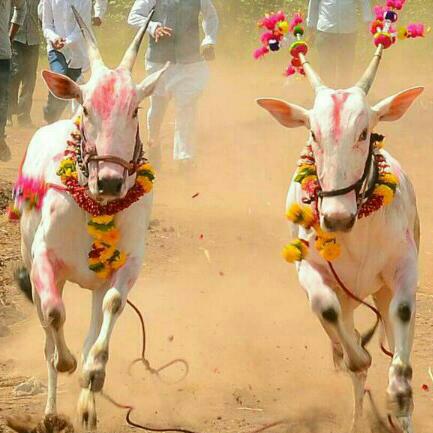 C p Sinyal tweet media