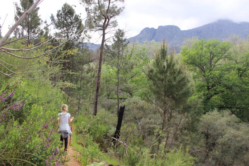 Have you explored this hidden corner of the Cape Winelands before? A weekend in Wellington ow.ly/DlPO30fTMgC via <a href="/Becomingyoublog/">Kathryn Rossiter</a>