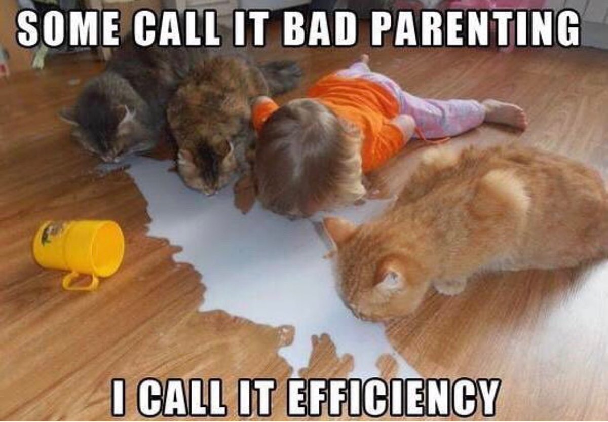 TipsForNewDads's tweet photo. Well they do say there’s no point in crying over spilt milk. Via @dads.club #cats #toddlers #parenting #spiltmilk #toddlerlife https://t.co/Y7QsJmAClh
