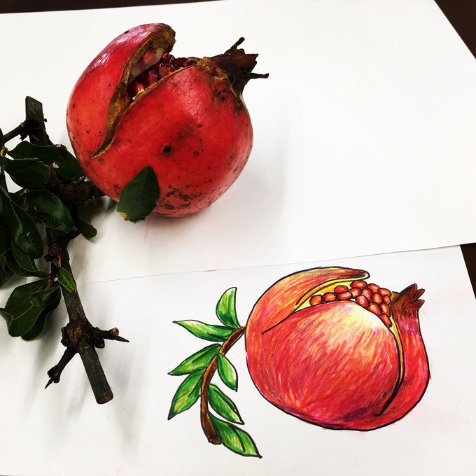 ザクロの絵のtwitterイラスト検索結果 古い順 ザクロの絵のtwitterイラスト検索結果 古い順