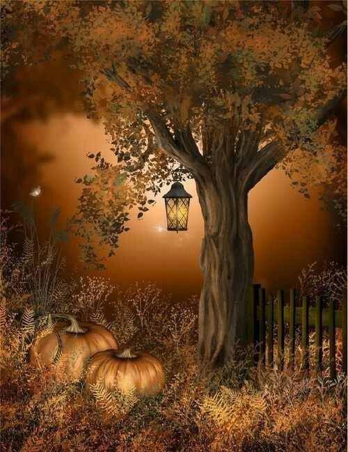 anninewang's tweet photo. Looking this Seasons - Autumn Mystical time.#vagaryeasy #customwe #autumn #pumpkin #halloween #adventure #travel #beautiful #mountains #fall https://t.co/HtHIPsilej