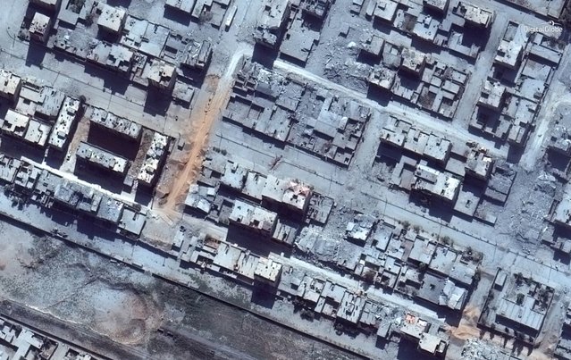 RobPtt's tweet image. UN says it is ready to go into Raqqa - via BBC News ow.ly/jtoh30fZDYy bit.ly/2xSJqfn