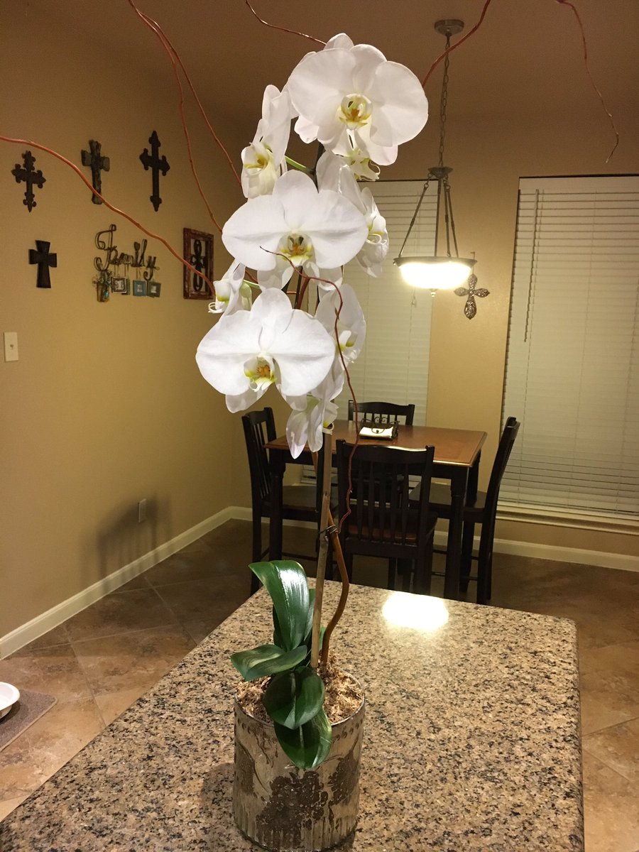 So honored to be representing <a href="/WarnerCFISD/">Warner Elementary</a>