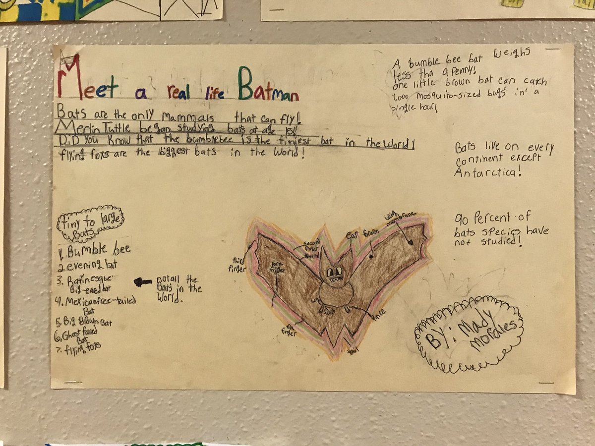 RCES4th's tweet image. Mrs. Bright’s class created posters after learning about the real life Batman! #textfeatures #nonfiction @JodieWymore @Comal_ELAR