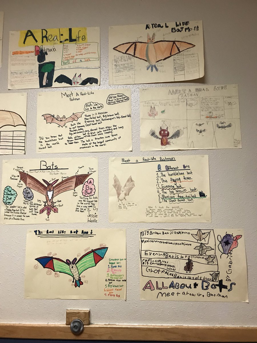 RCES4th's tweet image. Mrs. Bright’s class created posters after learning about the real life Batman! #textfeatures #nonfiction @JodieWymore @Comal_ELAR
