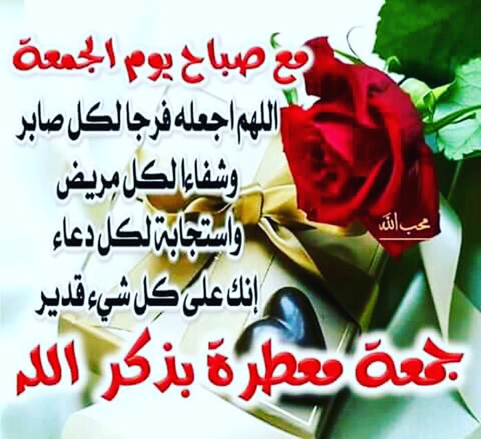 DK0sm's tweet photo. امين يارب https://t.co/byXxD7ZaFE