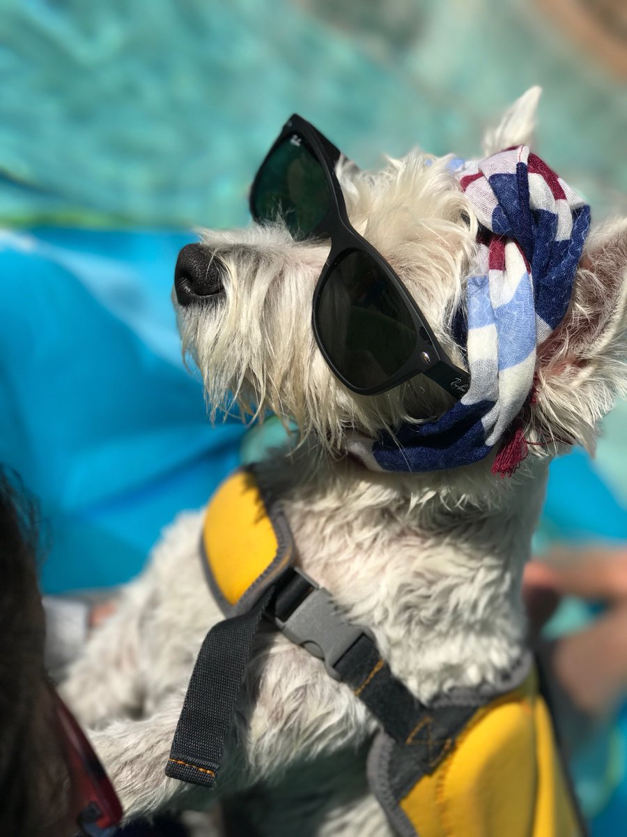 ItsDelaneyNoll's tweet photo. Longing for more summer days! @ray_ban https://t.co/oBrrFcY2f1