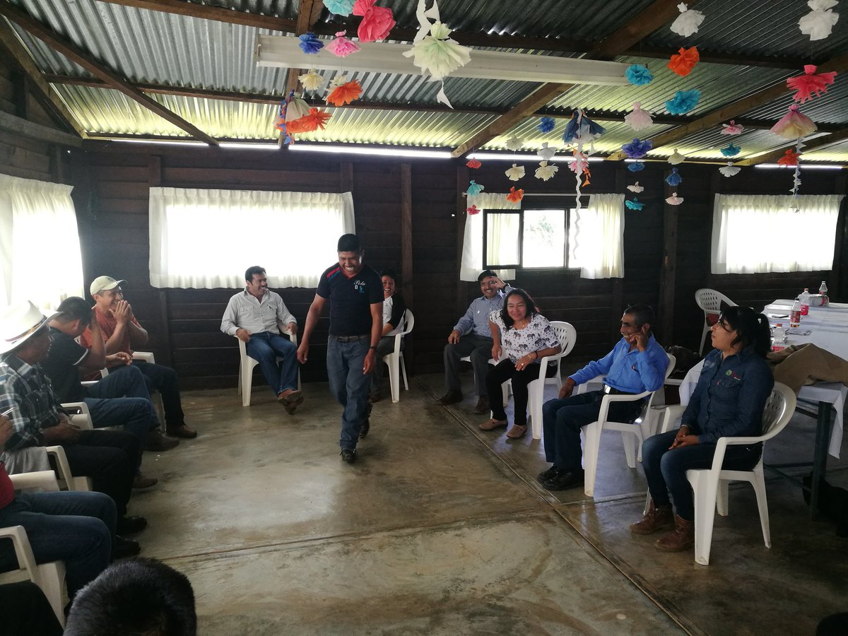ROSACER14329571's tweet photo. Proceso de Alineacion en el EC0272 Cosecha de Café, Articulo 127, Las Margaritas, Chiapas @LeticiaInca @PerlaIbaez2  @linosma @Mely_Romero https://t.co/3YfTHVO0zF
