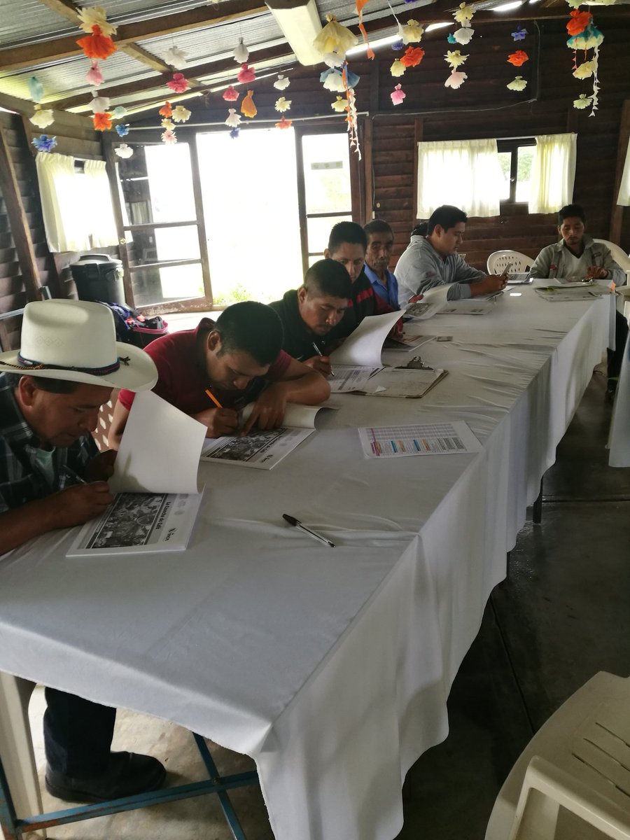 ROSACER14329571's tweet photo. Proceso de Alineacion en el EC0272 Cosecha de Café, Articulo 127, Las Margaritas, Chiapas @LeticiaInca @PerlaIbaez2  @linosma @Mely_Romero https://t.co/3YfTHVO0zF