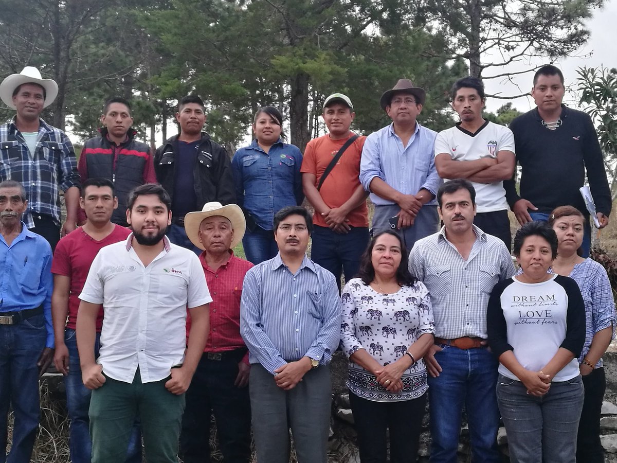 ROSACER14329571's tweet photo. Proceso de Alineacion en el EC0272 Cosecha de Café, Articulo 127, Las Margaritas, Chiapas @LeticiaInca @PerlaIbaez2  @linosma @Mely_Romero https://t.co/3YfTHVO0zF
