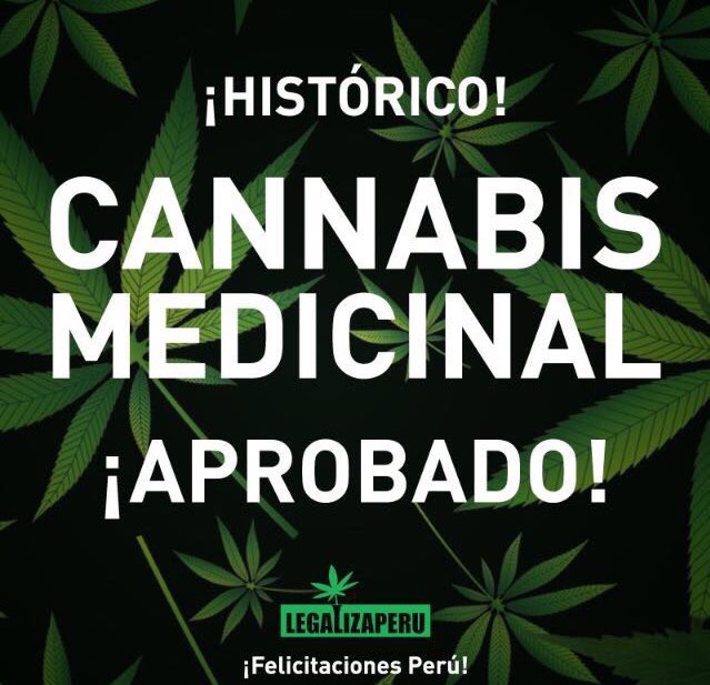 VIRGUIT's tweet photo. HISTÓRICO en el #DiaContraelCancerdeMama se aprueba #CannabisMedicinal #MePongoRosa #MePongoVerde https://t.co/2u7ok4atRB