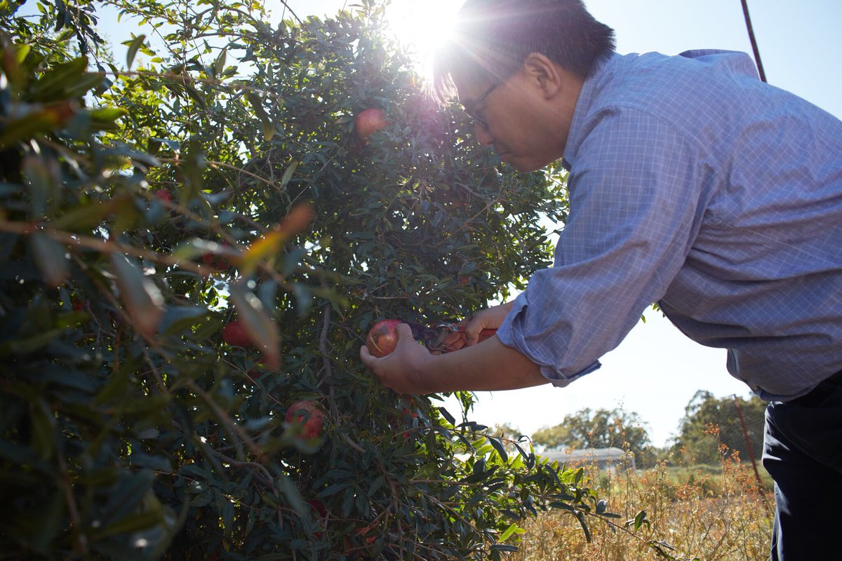 JohnChiangCA's tweet photo. Sustainable urban agriculture is crucial to reducing the use of water and promoting healthy food. I'm all for sustainable community produce! https://t.co/edOEPKiu6x