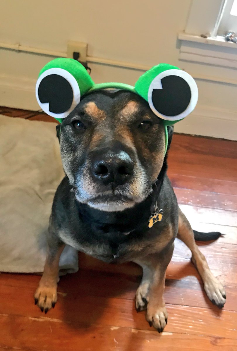 eudaimoniass's tweet photo. nothing but respect for MY president https://t.co/oYCOkVzhCN