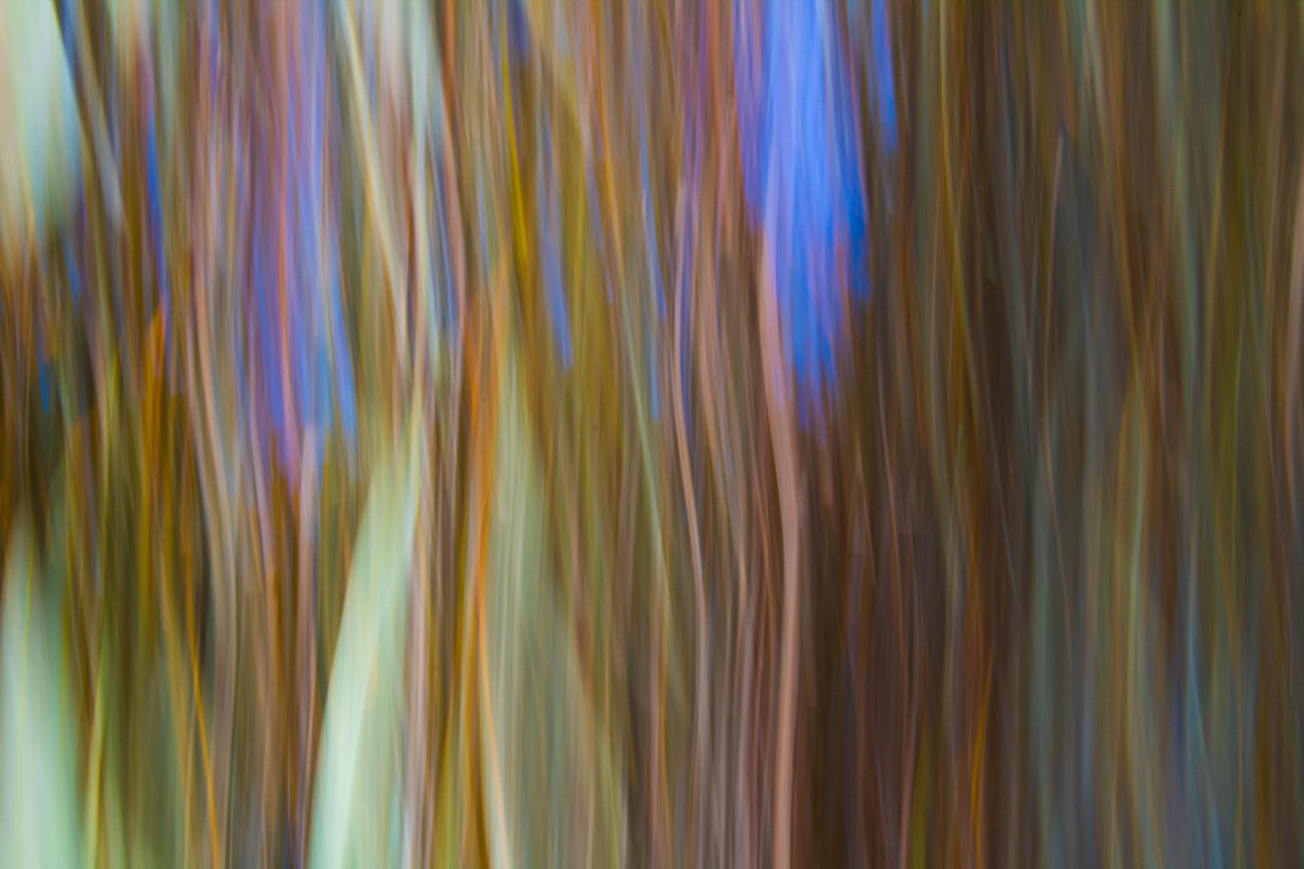 PhotographyNess's tweet photo. Woah!  That's not your eyes - it's MOTION!  Lovin' our intentional blur in Photo 3/4! #rbhsphotography @PowayUnified @PowayCTE @rbhsbroncos https://t.co/NQ2k7cmwwR