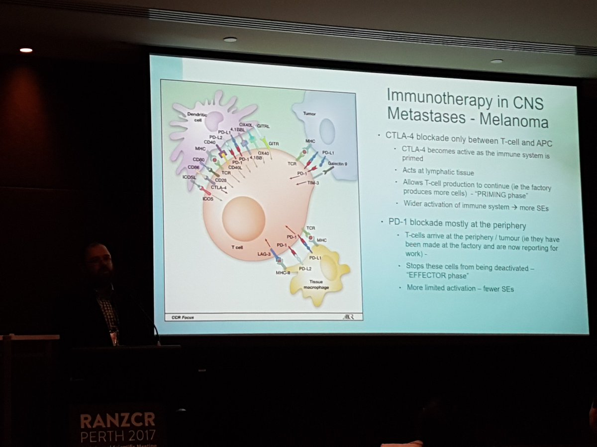 Carisc_'s tweet photo. Great morning@ trainee learning day. Thanks @drtclay for the talk on systemic rx in CNS metastases. #RANZCR2017 @Hendo_tan @hkirupananther https://t.co/UEzsenIyOK