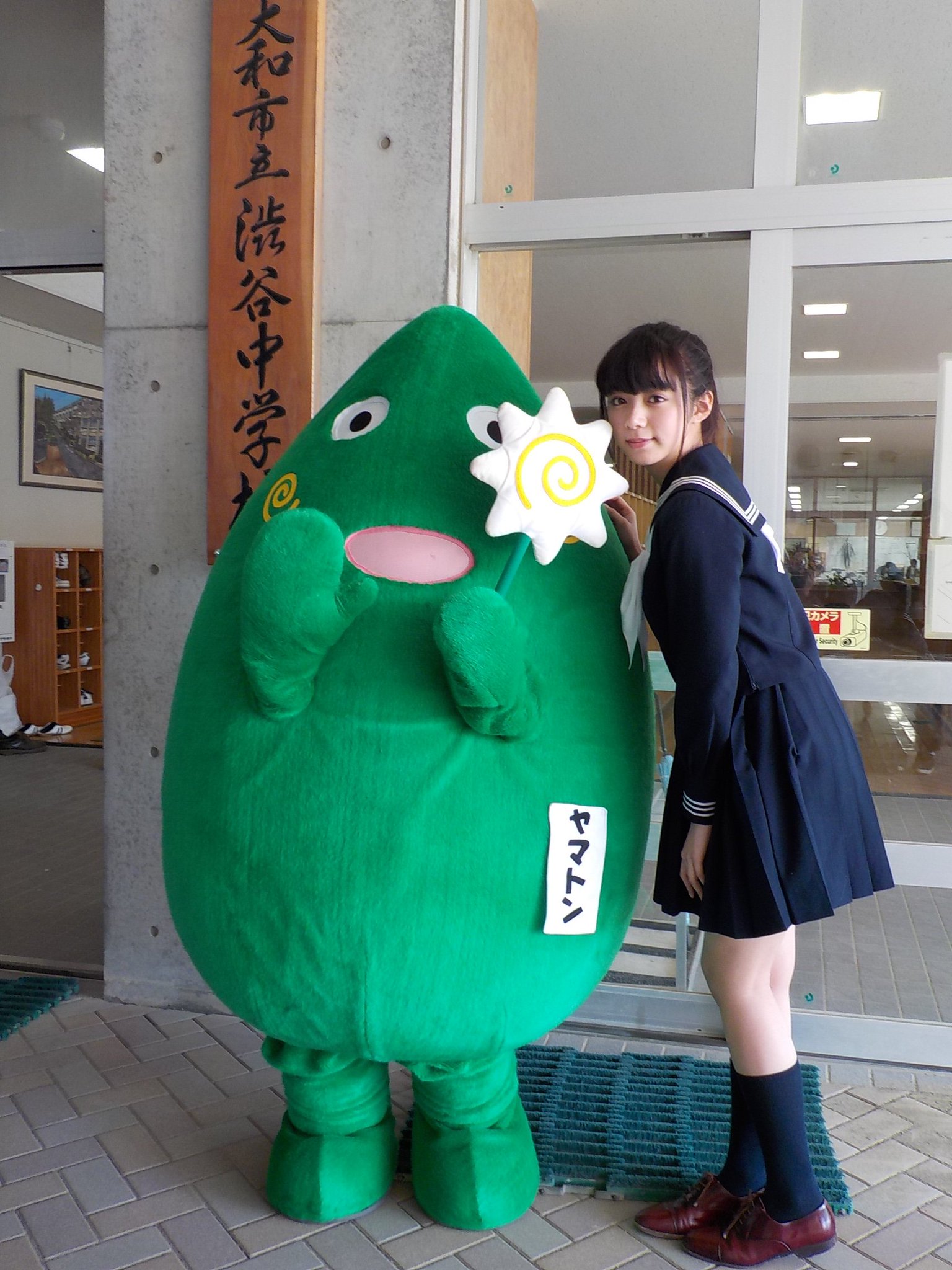 活動歴および当時の関連ビジュアル記録