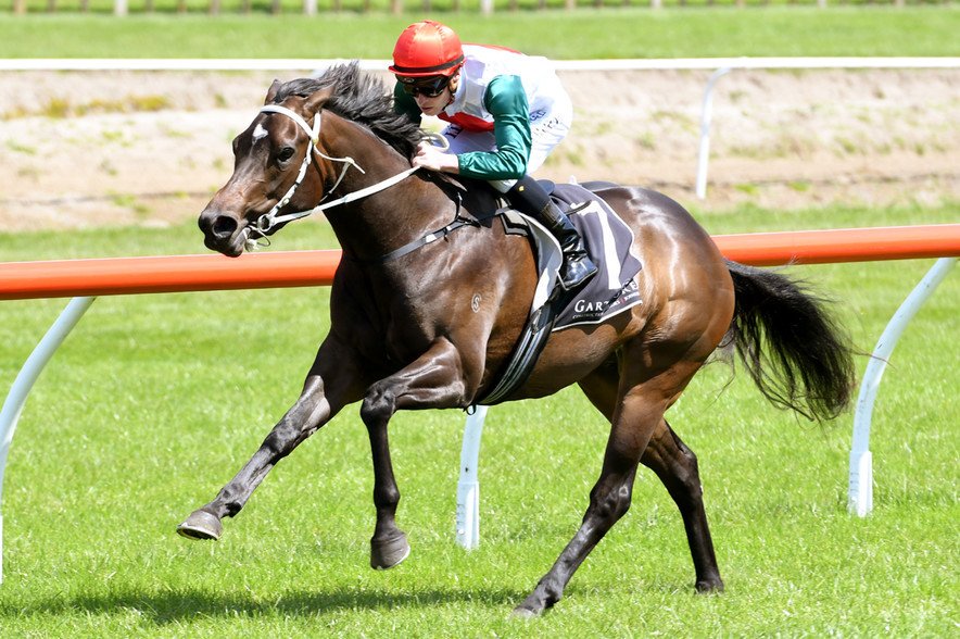 nzracingnews's tweet photo. Promising filly #PowerDream could be heading to Christchurch after a slick win at Tauranga. https://t.co/SZk3rtWEb2 https://t.co/yUYxcZwvx9